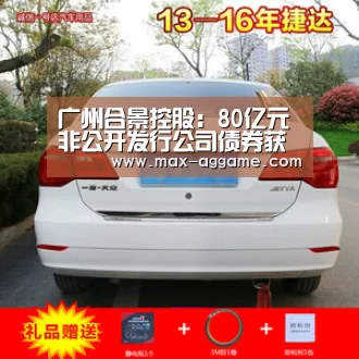 广州合景控股:80亿元非公开发行公司债券获上交所通过‘AG平台’(图2) AG真人官方网站